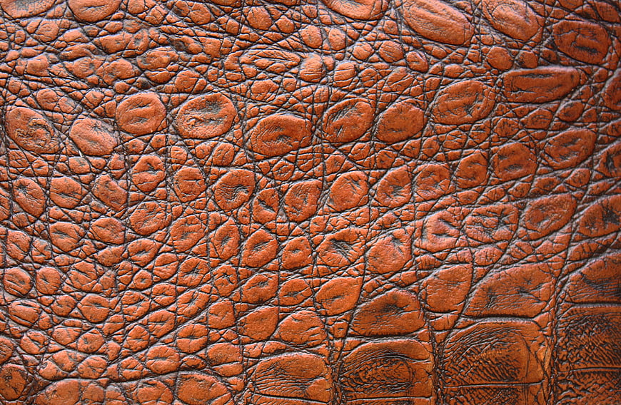 Close-up of textured brown leather surface with natural grain pattern