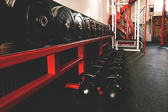 Red Gym Equipment Rack with Kettlebells and Weight Plates