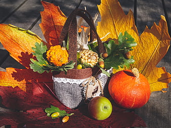 Autumn Harvest Still Life With Pumpkins, Corn, And Colorful Leaves