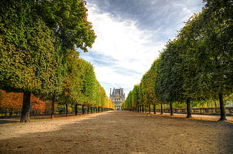 Autumn Avenue Leading to Louvre Museum in Paris