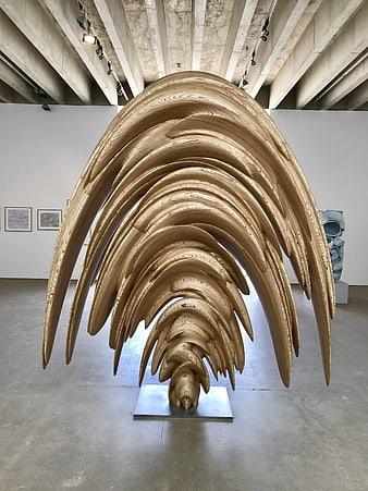 Large wooden ribbed sculpture in modern art gallery
