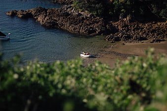 Small boat near rocky coast with blurred foreground foliage