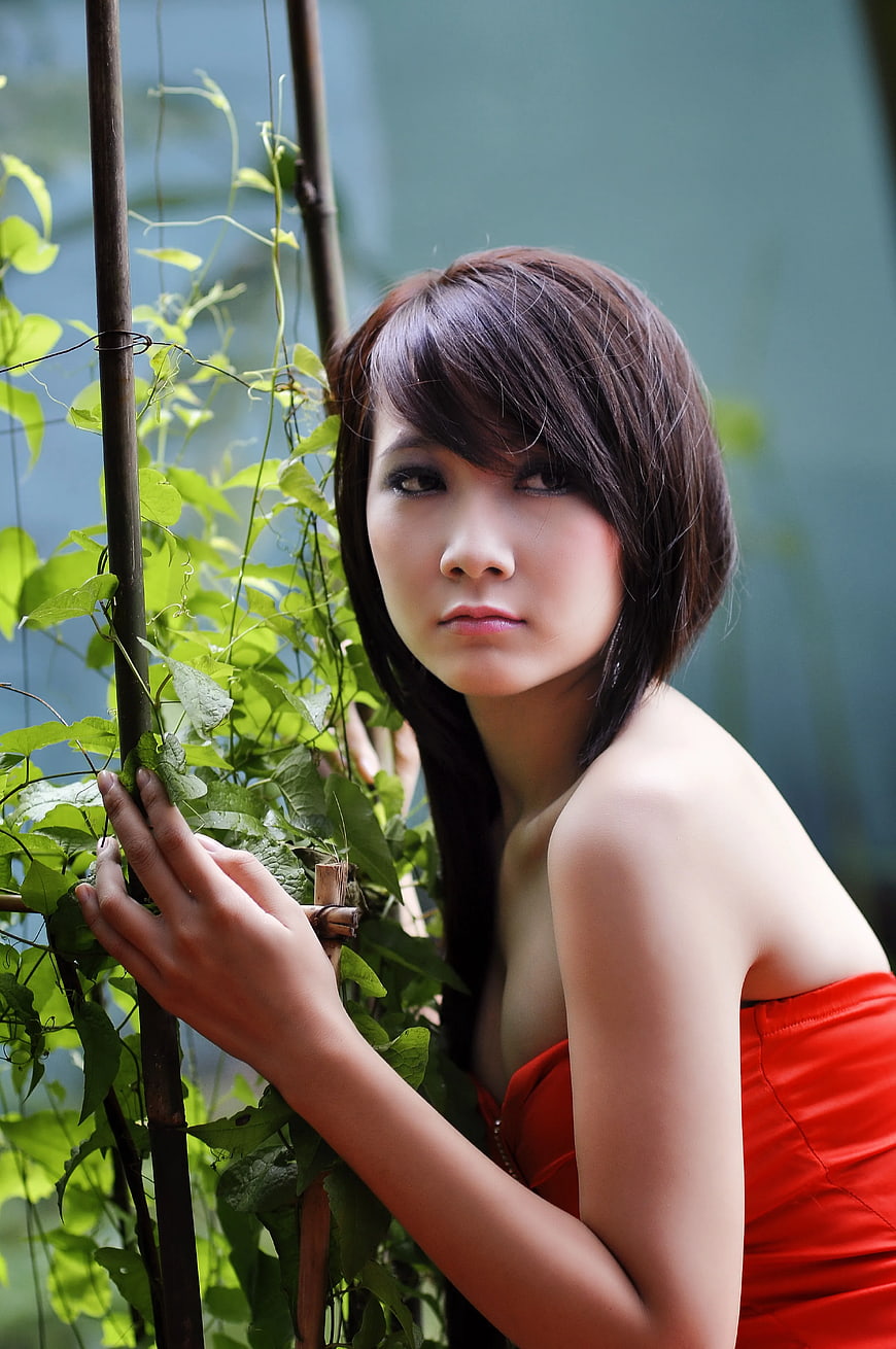 Woman in Red Dress Holding Green Vine
