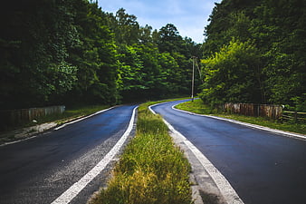 Winding asphalt road through lush green forest