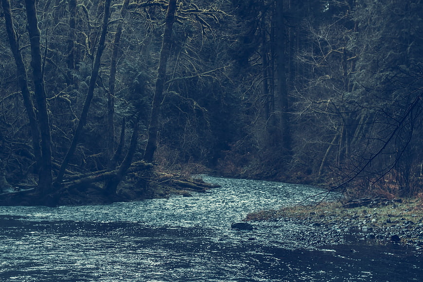 Dark moody river flowing through dense winter forest