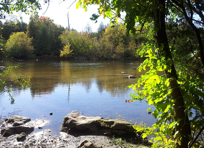 Serene River Scene with Sunlit Trees and Rocks