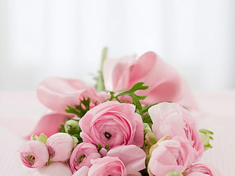 Soft Pink Ranunculus Flowers with Ribbon Bouquet