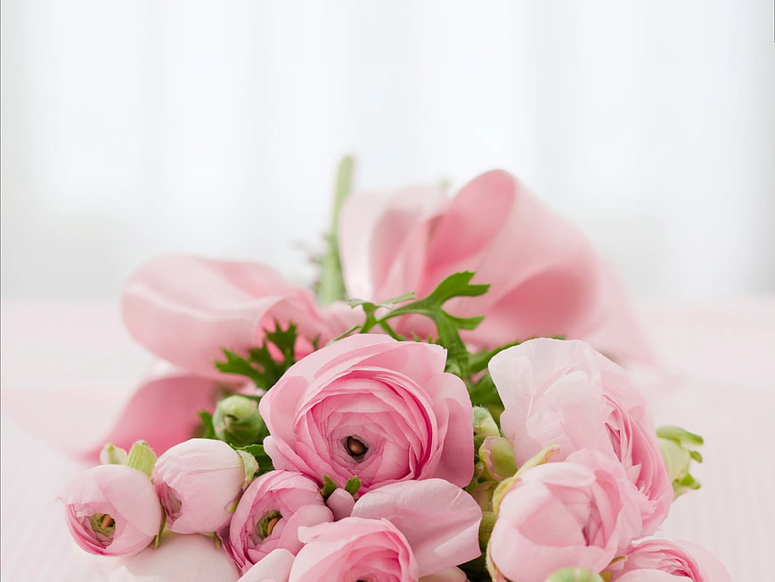 Soft Pink Ranunculus Flowers with Ribbon Bouquet
