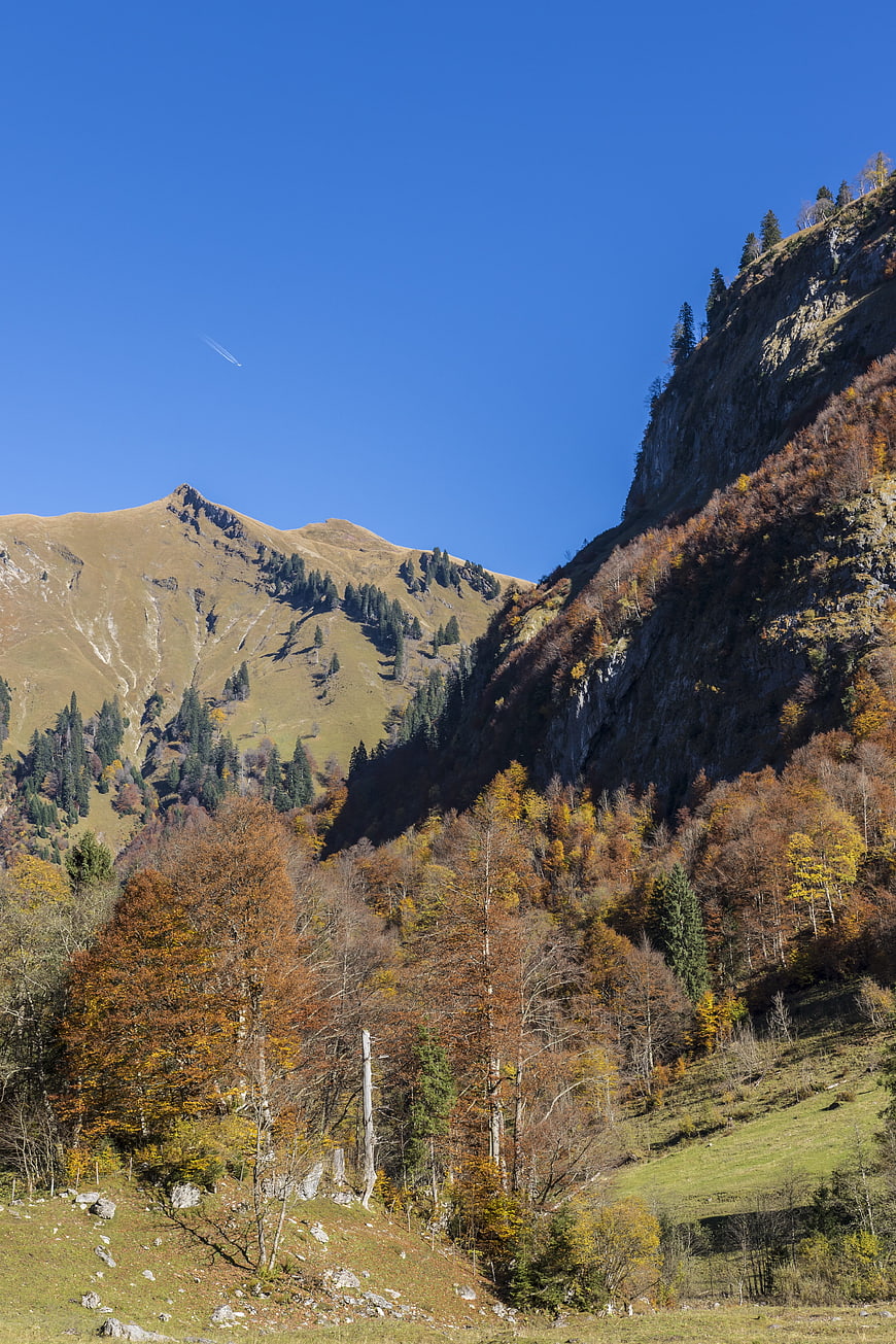 Autumn Mountain Landscape with Colorful Forest and Blue Sky