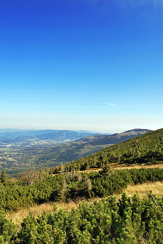 Panoramic Mountain Landscape with Blue Sky and Forest