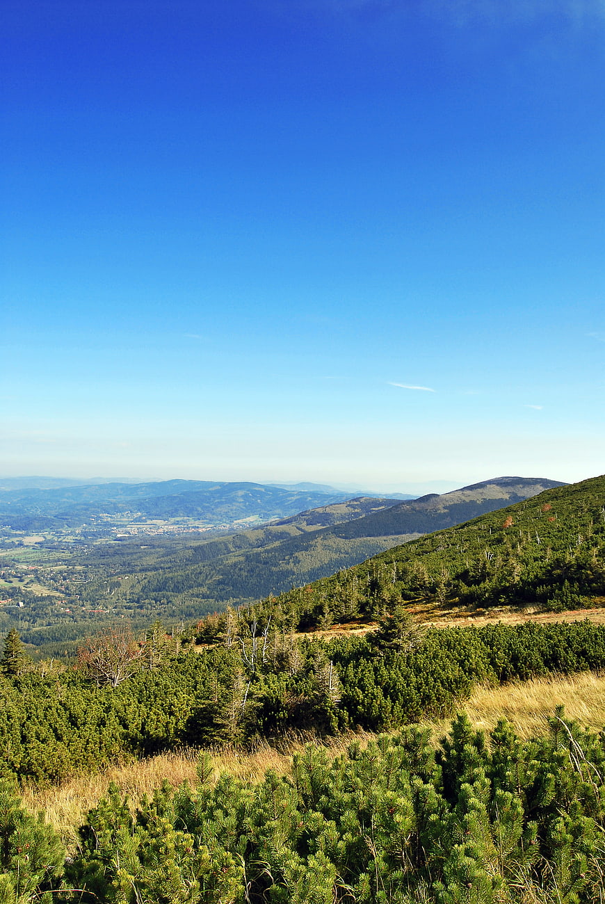 Panoramic Mountain Landscape with Blue Sky and Forest
