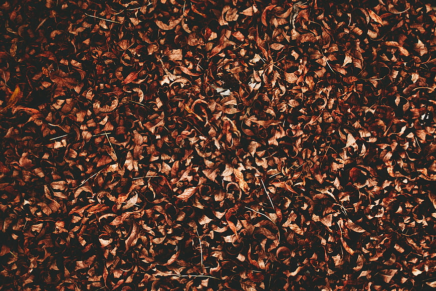 Top view of brown dried autumn leaves texture background