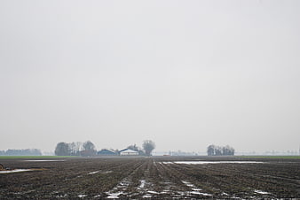 Foggy Winter Farmland with Plowed Field and Barn