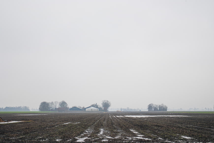Foggy Winter Farmland with Plowed Field and Barn
