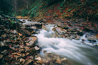 Long Exposure Autumn Stream Flowing Over Rocks in Forest