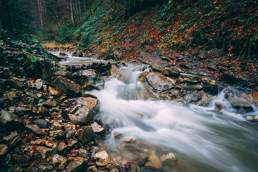 Long Exposure Autumn Stream Flowing Over Rocks in Forest