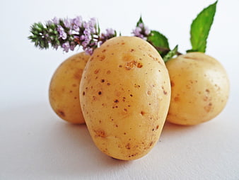 Fresh Yellow Potatoes With Purple Flowers On White Background