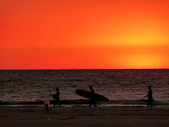 Silhouetted surfers walking on beach at fiery sunset