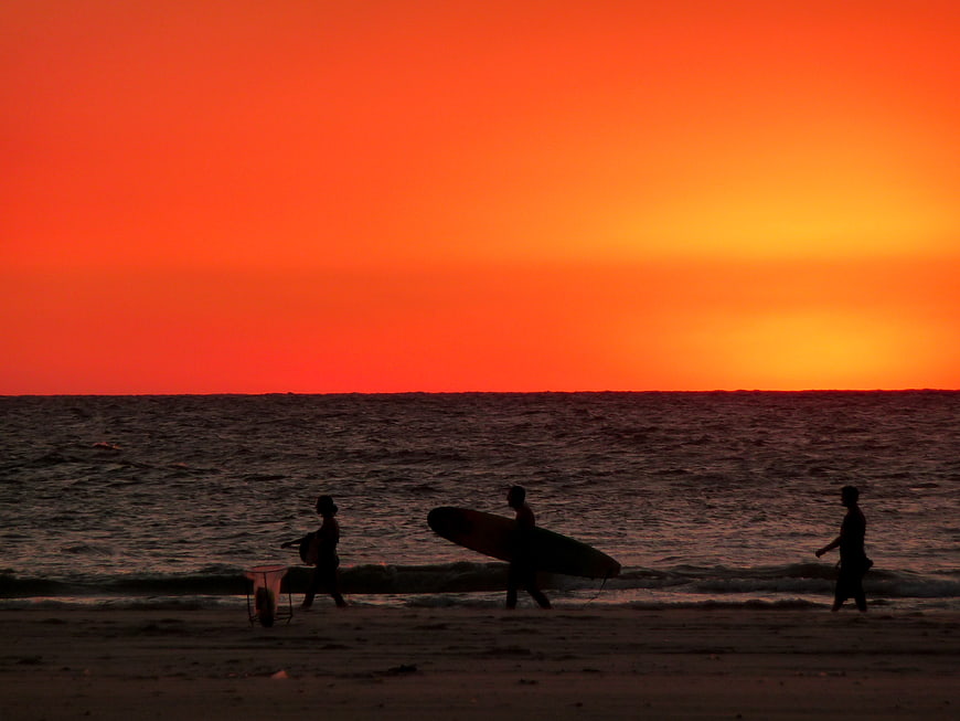 Silhouetted surfers walking on beach at fiery sunset