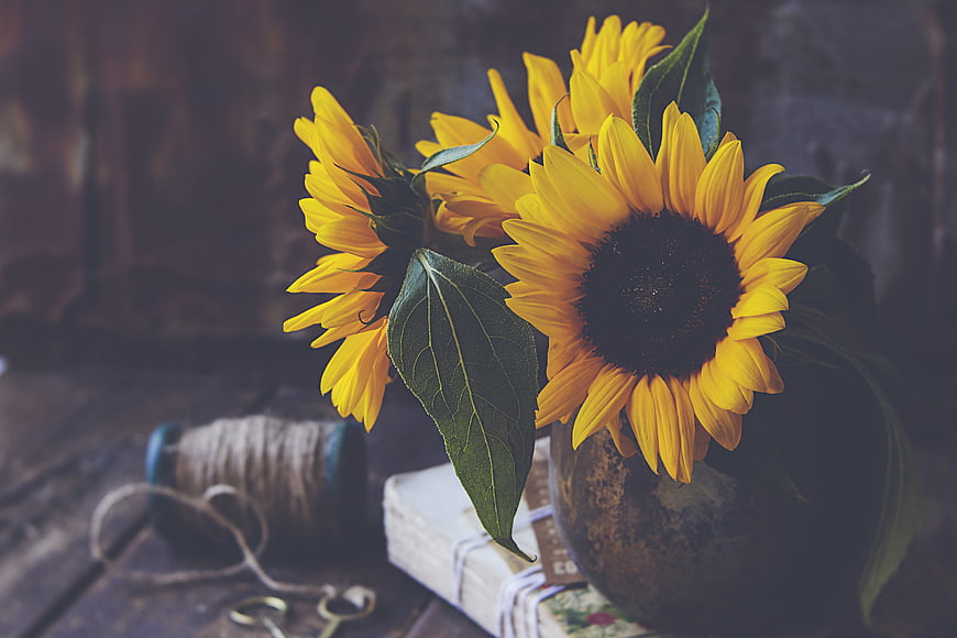 Rustic Sunflowers in Vintage Vase with Books and Twine