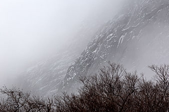 Misty Snow-Covered Mountain Cliff with Bare Trees