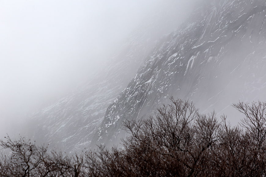 Misty Snow-Covered Mountain Cliff with Bare Trees