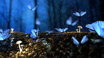 Magical Blue Butterflies on Forest Floor