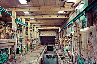 Abandoned industrial warehouse with colorful graffiti art