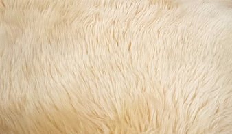 Close-up of soft cream-colored animal fur texture background