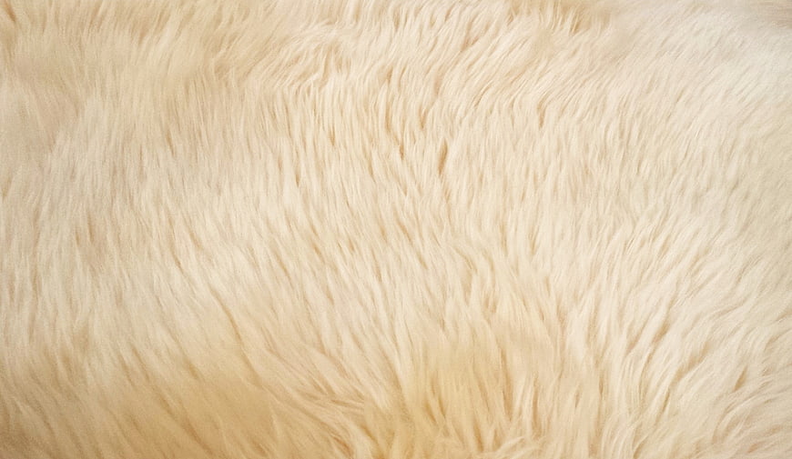 Close-up of soft cream-colored animal fur texture background