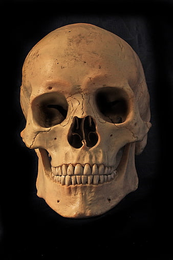 Close-up of Human Skull on Black Background