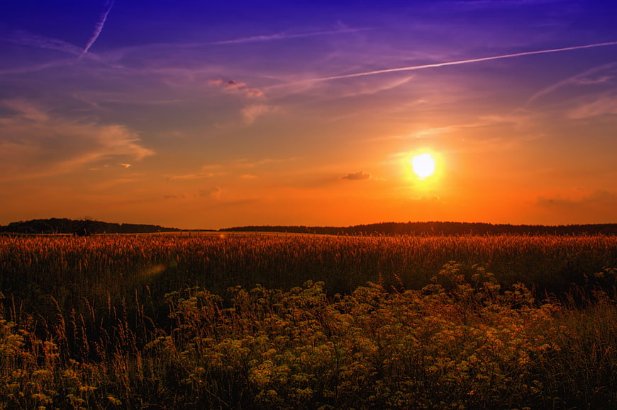 Vibrant Sunset Over Wildflower Meadow with Purple Sky