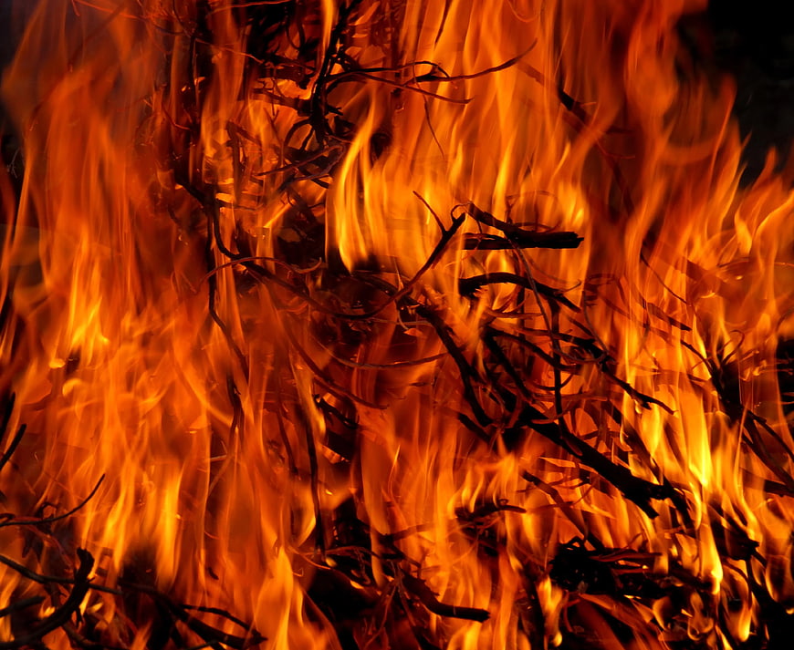 Intense Close-Up of Burning Flames and Charred Branches