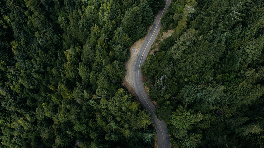 Aerial View of Winding Road Through Dense Green Forest