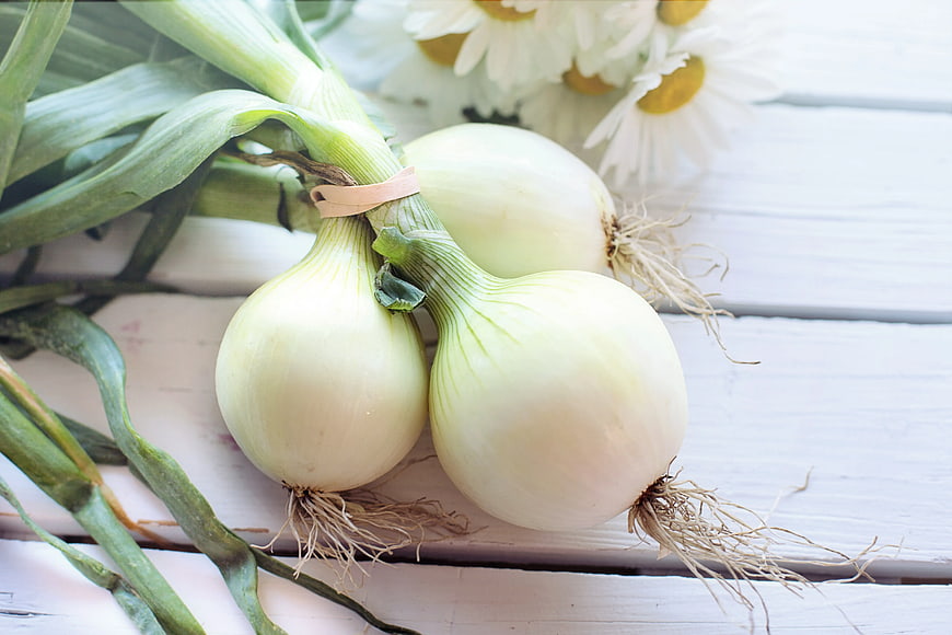 Fresh White Onions with Green Tops on Wooden Table
