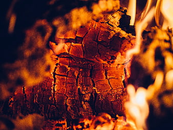 Close-up of burning log with glowing embers and flames