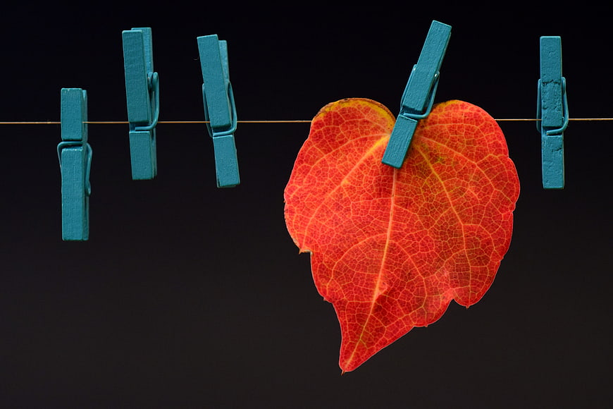 Red autumn leaf hanging on clothesline with blue clothespins