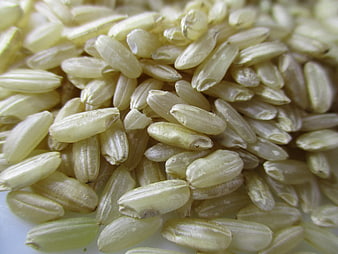 Close-up of raw carnaroli rice grains