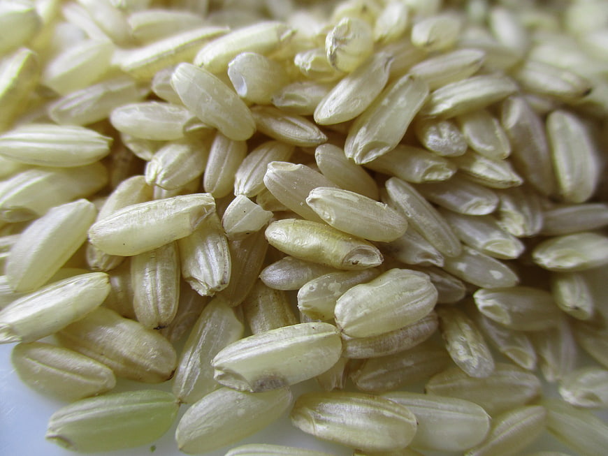 Close-up of raw carnaroli rice grains