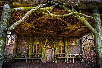 Enchanted wooden fairy hut in a mossy forest