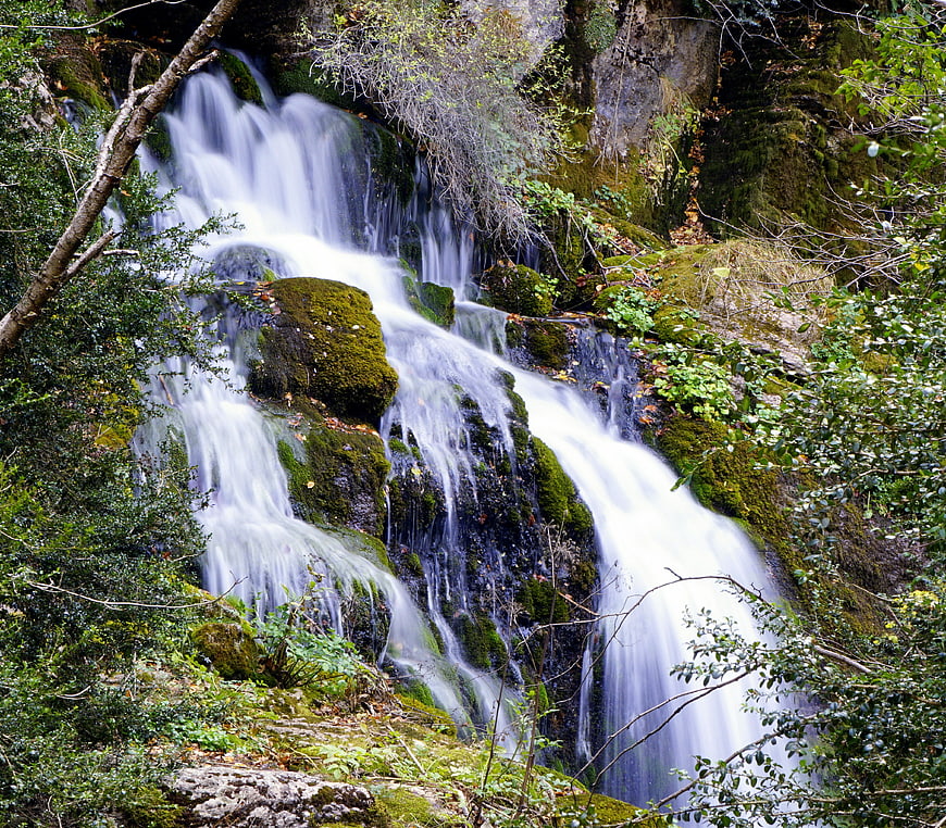 Mossy waterfall cascading through lush forest rocks