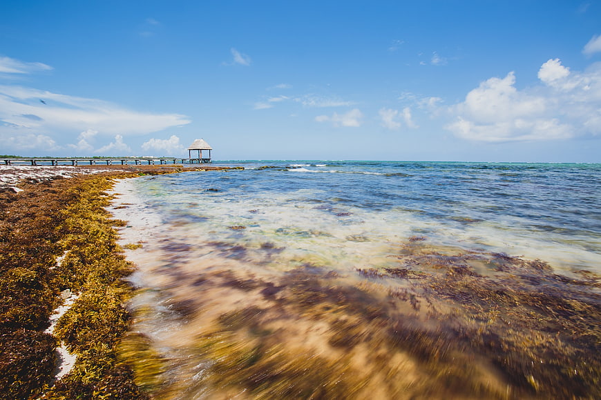 Tropical Beach with Seaweed, Pier, and Gazebo Under Blue Sky
