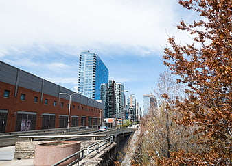 Urban Cityscape with Modern Skyscrapers and Autumn Trees