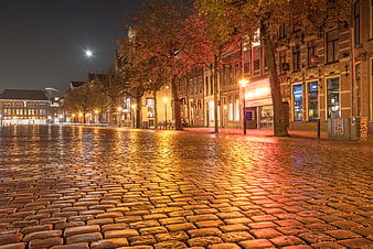 Wet cobblestone street at night with autumn trees and city lights
