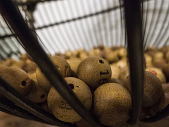Close-up of wooden lottery balls in a wire cage