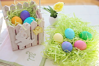 Colorful Easter Eggs In Wooden Basket And Nest With Yellow Tulip