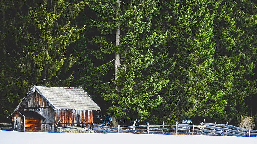Rustic wooden barn in snowy meadow with evergreen forest background