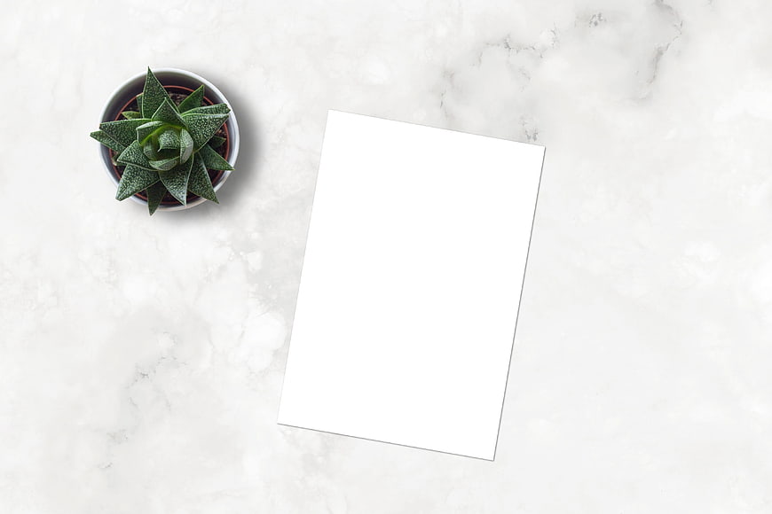 Blank White Paper Mockup With Succulent On Marble Surface
