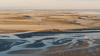 Aerial view of tidal flats with winding water channels and sandbars