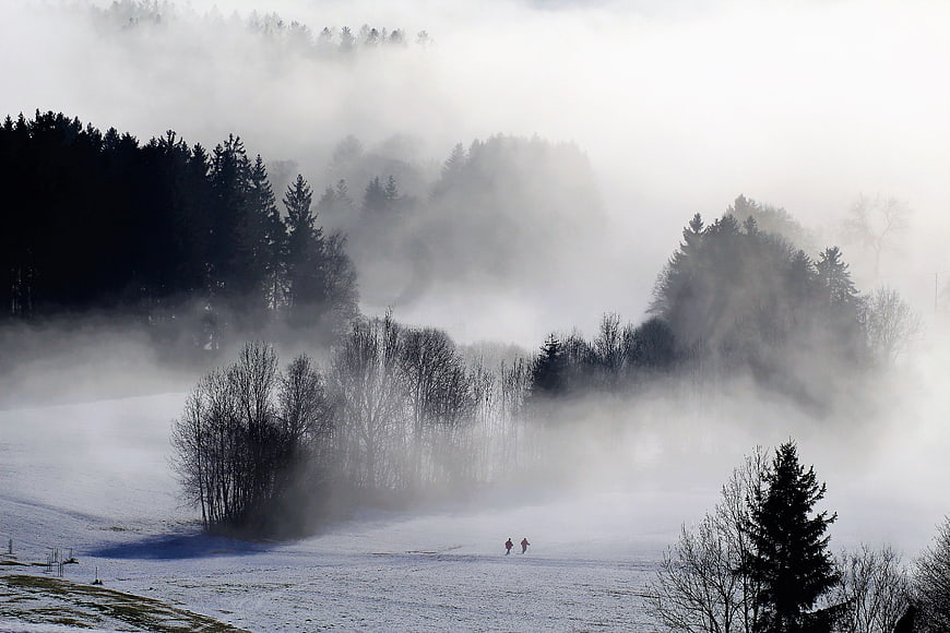 Two hikers walking through a foggy winter forest landscape